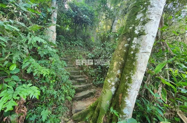 Sítio à venda na Praia do Alto, com vista para o mar - Foto 6