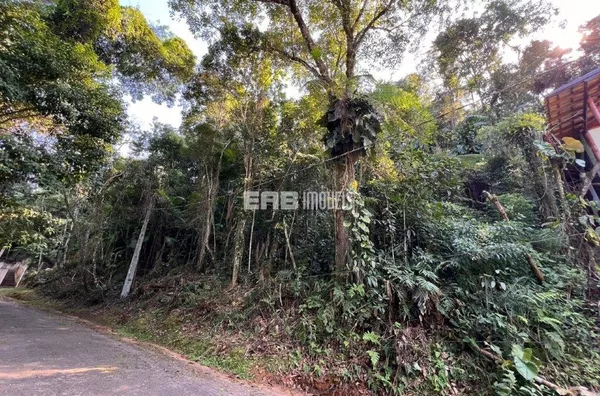 Terreno com liberação da CETESB no Prumirim, Ubatuba - Foto 2