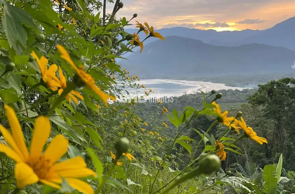 Terreno de 12.500m² à venda na Almada, Ubatuba - Foto 4