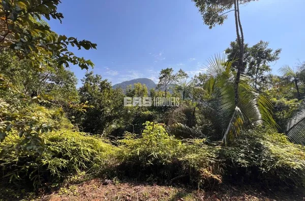Terreno à venda no Prumirim com 550m² liberado para construção - Foto 1