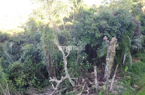 Terreno à venda na praia do Félix com CETESB aprovada! - Foto 4