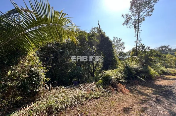 Terreno à venda no Prumirim com 550m² liberado para construção - Foto 2