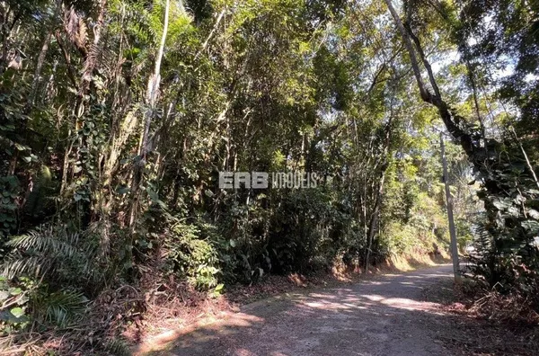 Terreno à venda com 70% de aprovação - Foto 4