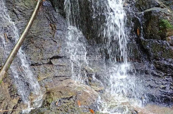 Terreno à venda no Prumirim, Ubatuba - Foto 5
