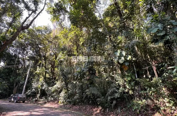 Terreno pronto para construir na praia do Prumirim, Ubatuba - Foto 6