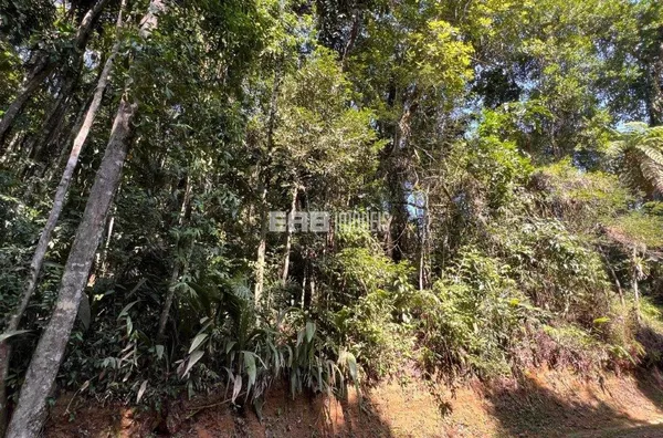 Terreno pronto para construir na praia do Prumirim, Ubatuba - Foto 1