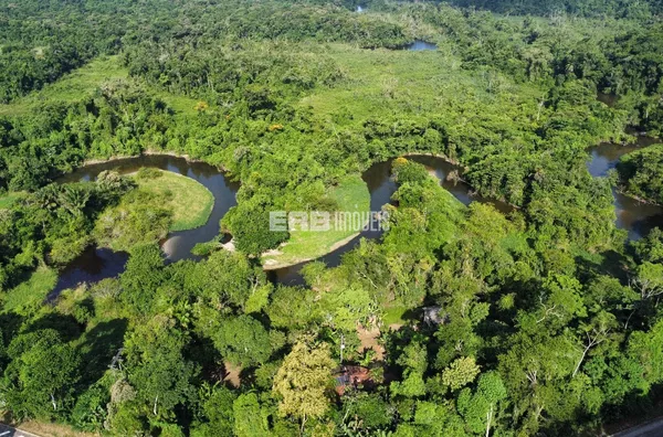 Chácara no bairro do Puruba, em meio à naturereza - Foto 3