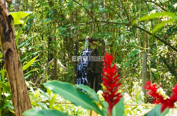 Casa com lago e mirante com vista parcial para a praia - Foto 6