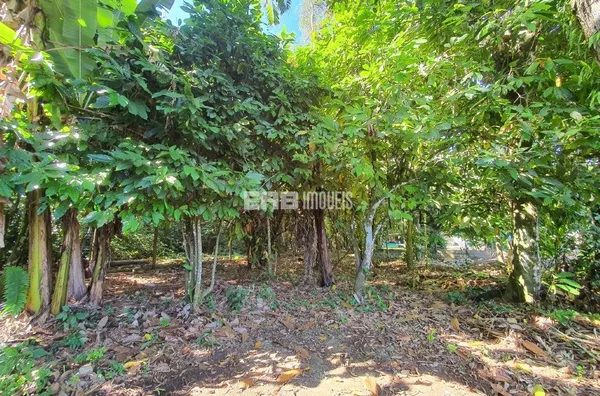 Terreno com aprovação para construir em Itamambuca - Foto 6