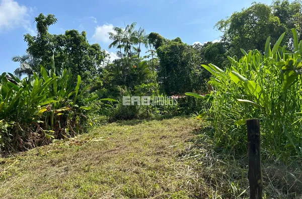 Terreno lado par, a 60m do mar, na praia de Itamambuca - Foto 3