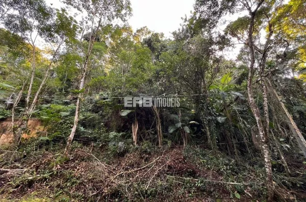 Lote à venda com aprovação da CETESB no Prumirim - Foto 2