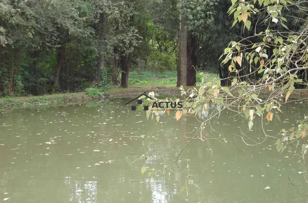 O Melhor Sítio Mário Campos : 20.000m², Pomar, Plantio + Natureza Perto de BH! - Foto 5
