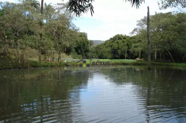 O Melhor Sítio Mário Campos : 20.000m², Pomar, Plantio + Natureza Perto de BH! - Foto 3