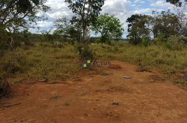 Terreno  2 mil metros plano para venda,  , Jequitibá - Foto 4