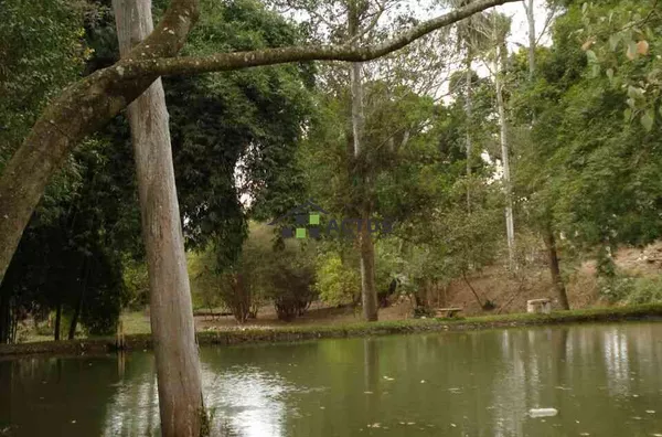 O Melhor Sítio Mário Campos : 20.000m², Pomar, Plantio + Natureza Perto de BH! - Foto 4