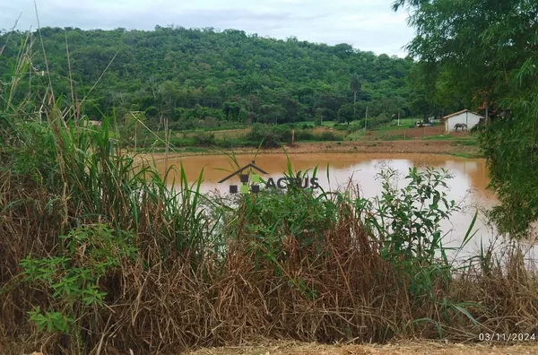 Terreno  2 mil metros plano para venda,  , Jequitibá - Foto 2