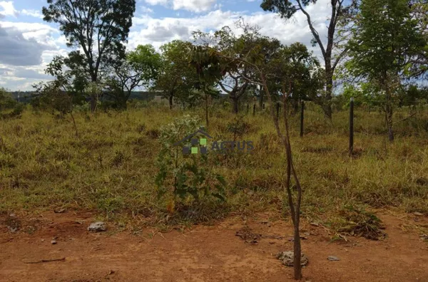 Terreno  2 mil metros plano para venda,  , Jequitibá - Foto 6