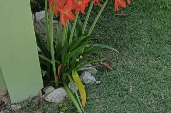 Sítio para venda, 2 quarto(s),  Centro, Esmeraldas - Foto 4