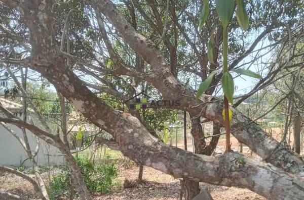 Excelente Chácara em Brumadinho - Foto 3