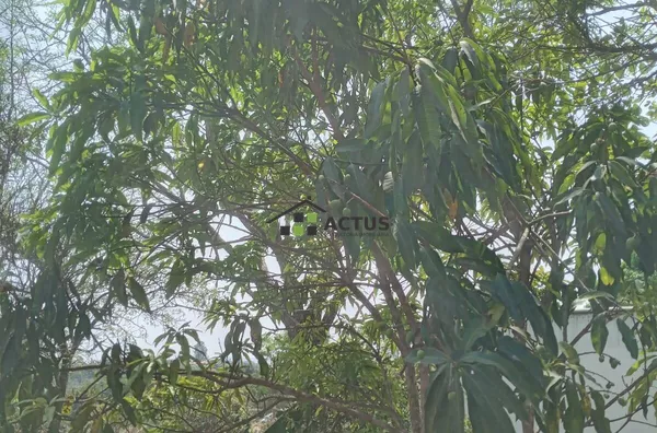 Excelente Chácara em Brumadinho - Foto 4