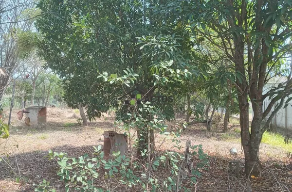 Excelente Chácara em Brumadinho - Foto 5