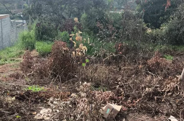 Terreno 360 metros em Mateus Leme