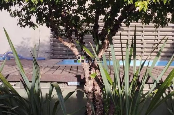 Casa à Venda no Bairro Santa Rosa – Conforto, Lazer e Ótima Localização - Foto 3