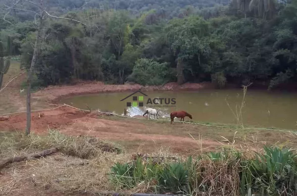 O Melhor Sítio Mário Campos : 20.000m², Pomar, Plantio + Natureza Perto de BH! - Foto 6