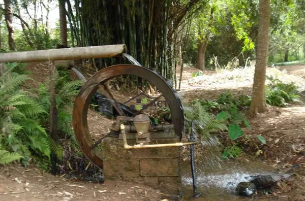 O Melhor Sítio Mário Campos : 20.000m², Pomar, Plantio + Natureza Perto de BH! - Foto 1