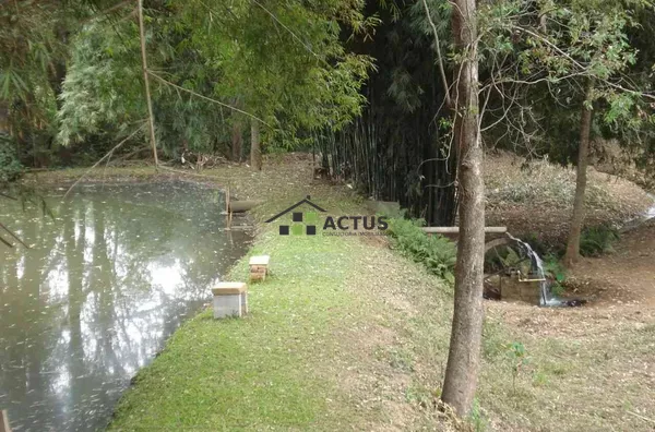 O Melhor Sítio Mário Campos : 20.000m², Pomar, Plantio + Natureza Perto de BH! - Foto 2