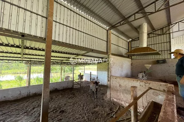 Chácara para venda, 2 quarto(s),  Vila Aparecidinha, Foz Do Iguacu