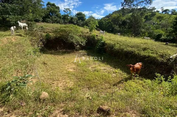 Fazenda para Venda - URUACU, Uruacu - Foto 23