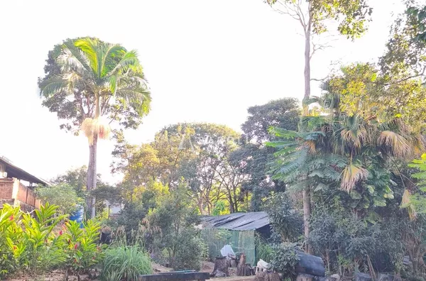 Área com aproximadamente 8.000 m² em Arniqueiras - Foto 14