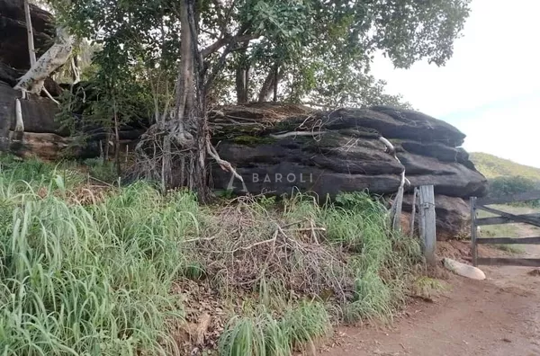 Fazenda para Venda - URUACU, Uruacu - Foto 9