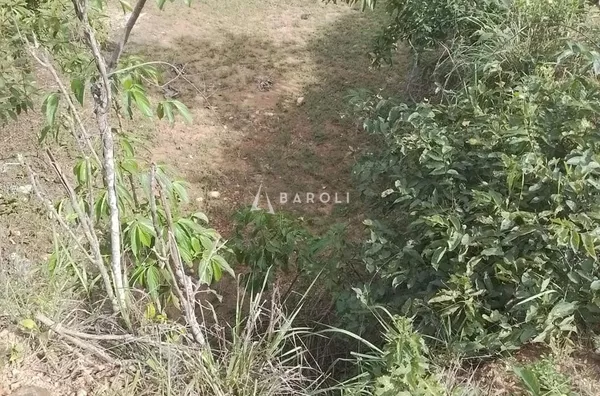 Fazenda para Venda - URUACU, Uruacu - Foto 12