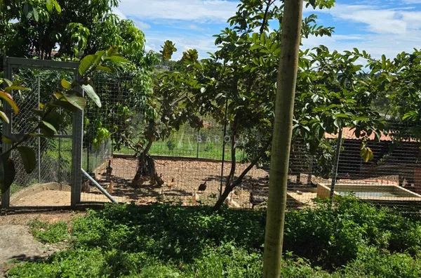 Chácara-Sítio para Venda - COCALZINHO DE GOIAS, Cocalzinho De Goias