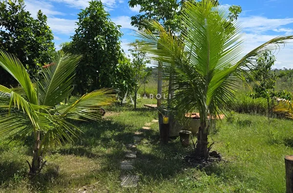 Chácara-Sítio para Venda - COCALZINHO DE GOIAS, Cocalzinho De Goias - Foto 25