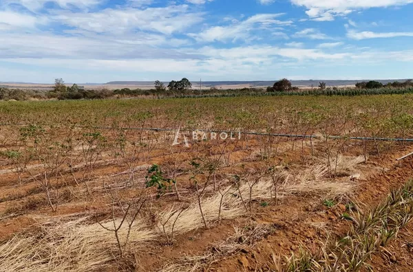 PLANALTINA DE GOIÁS | 13,9 HECTARES | ENERGIA SOLAR | SISTEMA DE IRRIGAÇÃO - Foto 9
