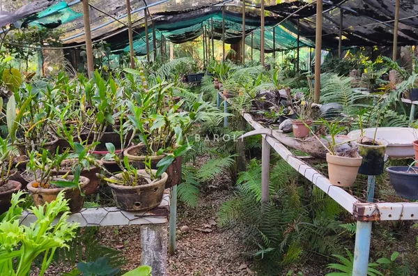 Área com aproximadamente 8.000 m² em Arniqueiras - Foto 23