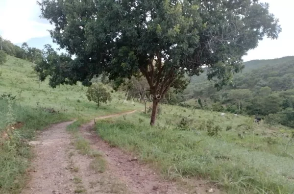 Fazenda para Venda - URUACU, Uruacu - Foto 6