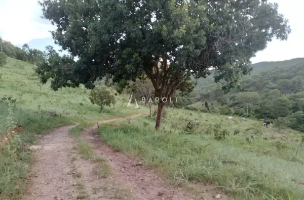 Fazenda para Venda - URUACU, Uruacu - Foto 6