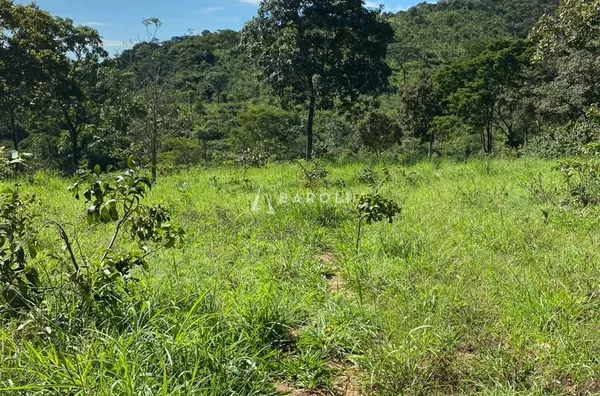 Fazenda para Venda - URUACU, Uruacu - Foto 30