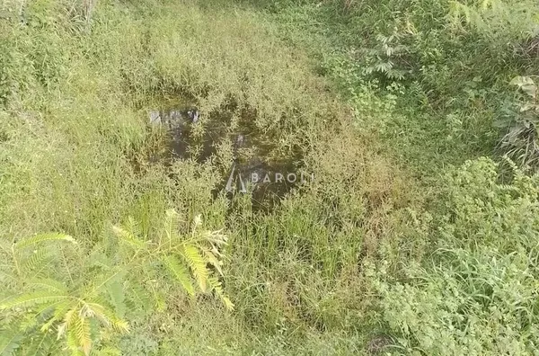 Fazenda para Venda - URUACU, Uruacu - Foto 15