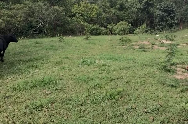 Fazenda para Venda - URUACU, Uruacu - Foto 16