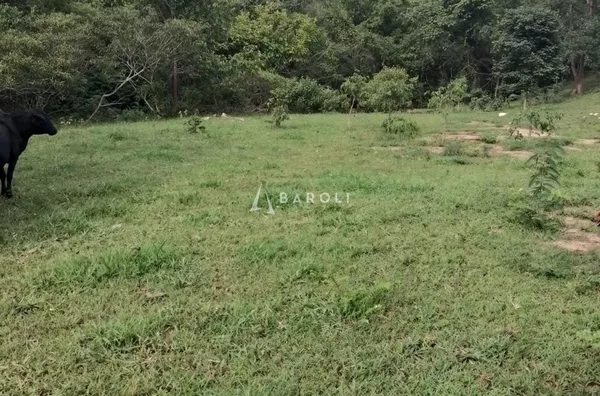 Fazenda para Venda - URUACU, Uruacu - Foto 16
