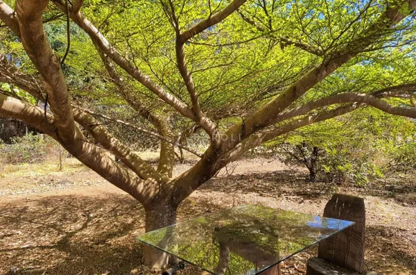Chácara-Sítio para Venda - CRIXA, Sao Sebastiao