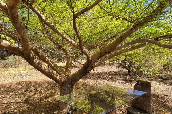 Chácara-Sítio para Venda - CRIXA, Sao Sebastiao - Foto 4