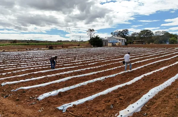chácara a venda setor bela vista Mansões recreio - Foto 17