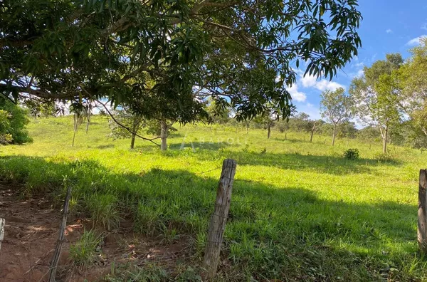 Fazenda para Venda - URUACU, Uruacu - Foto 24