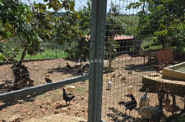 Chácara-Sítio para Venda - COCALZINHO DE GOIAS, Cocalzinho De Goias - Foto 7